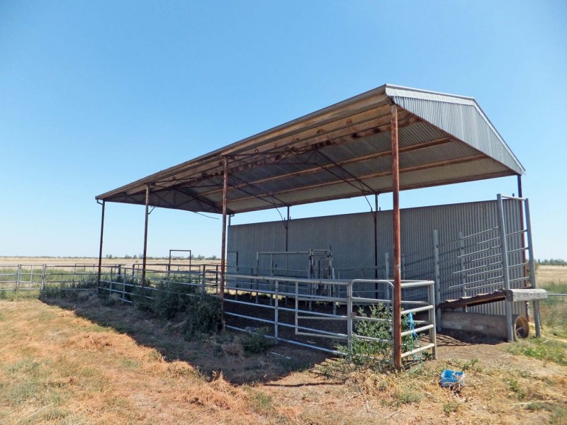 197 McNee Road, Wyuna VIC 3620