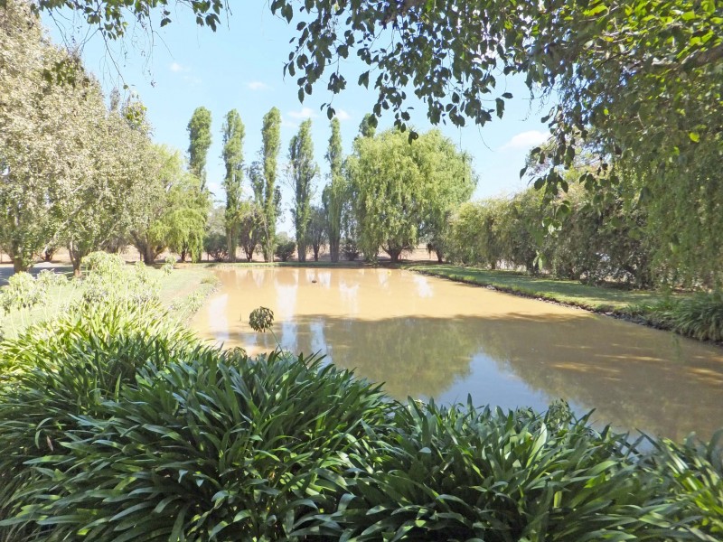 37 Kashelmara Drive, Kyabram VIC 3620