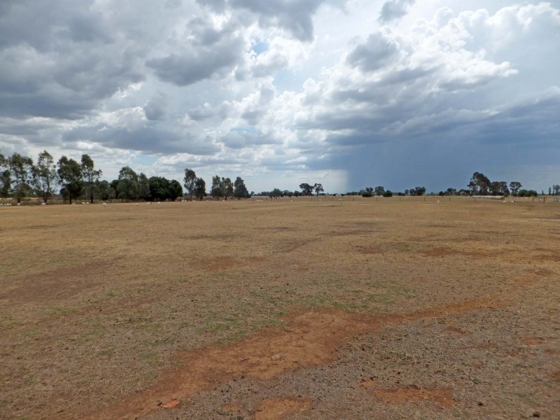 35-37 Morrissey Street, Merrigum VIC 3618