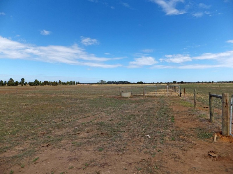 135 Rohan Road, Stanhope VIC 3623