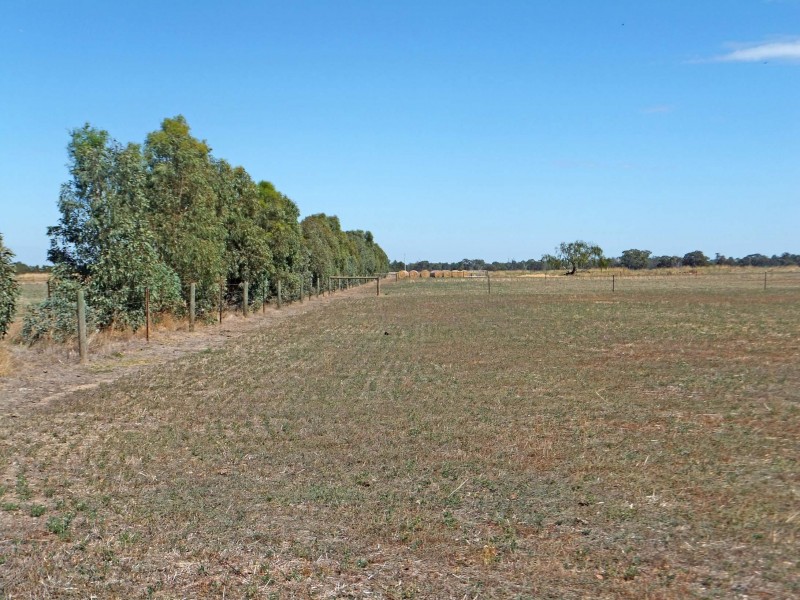 135 Rohan Road, Stanhope VIC 3623