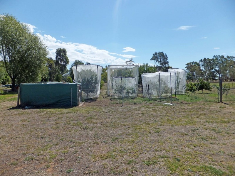 224 Everard Road, Kyabram VIC 3620