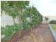 1 Pigatto Close, Kyabram VIC 3620