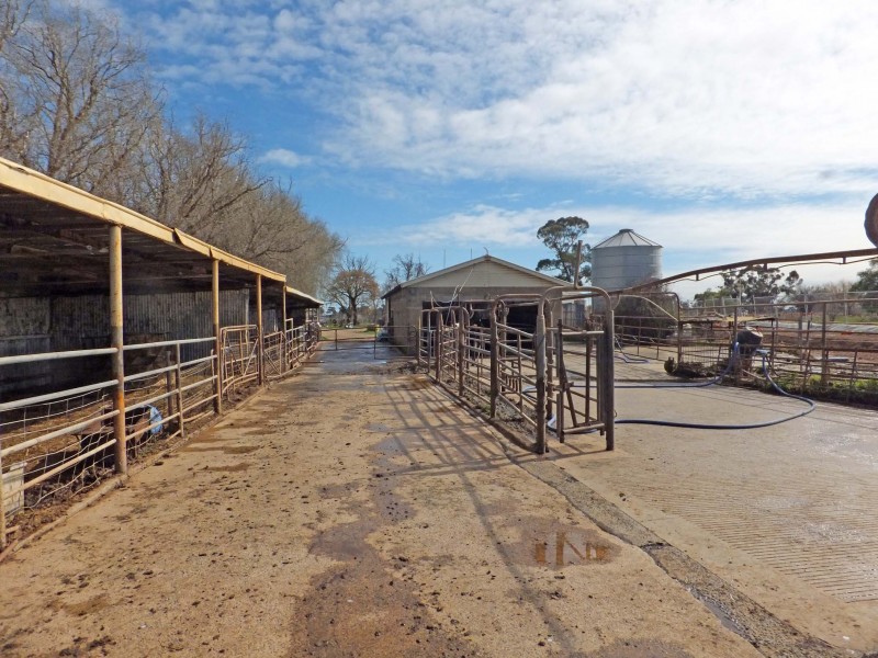 1510 Geodetic Road, Stanhope VIC 3623