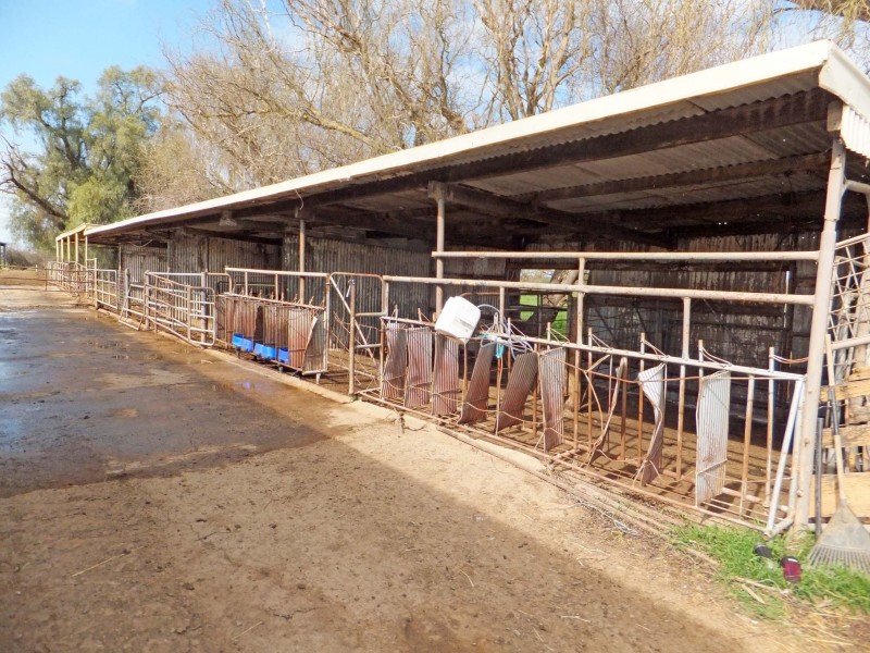 1510 Geodetic Road, Stanhope VIC 3623