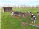1510 Geodetic Road, Stanhope VIC 3623