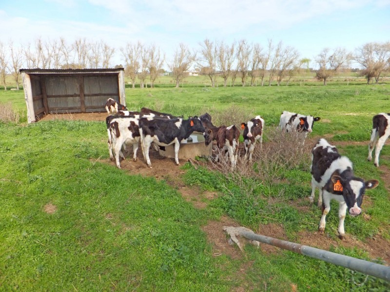 1510 Geodetic Road, Stanhope VIC 3623