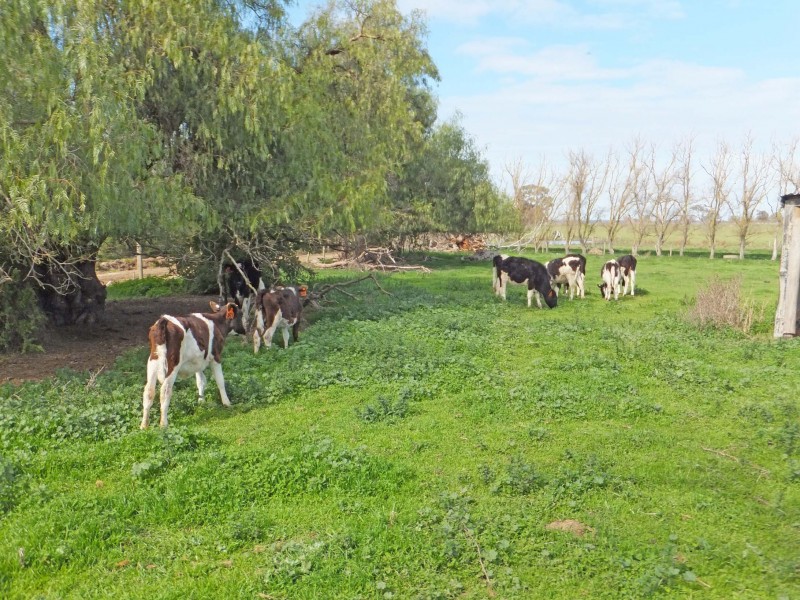 1510 Geodetic Road, Stanhope VIC 3623