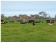 1510 Geodetic Road, Stanhope VIC 3623