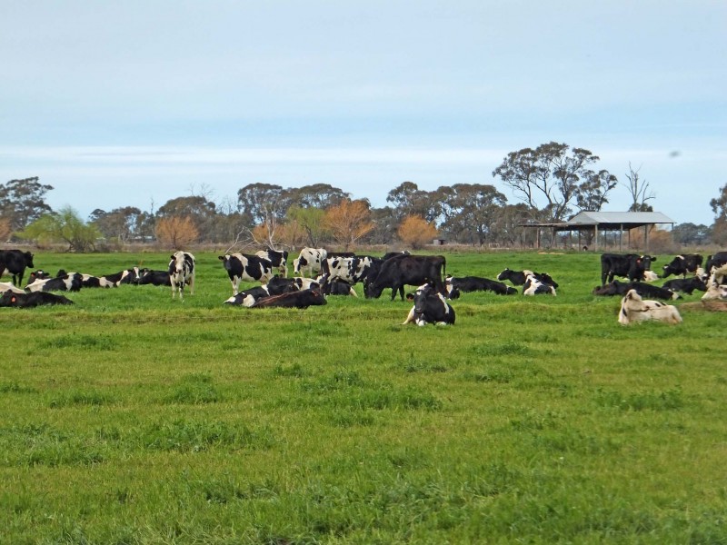 1510 Geodetic Road, Stanhope VIC 3623