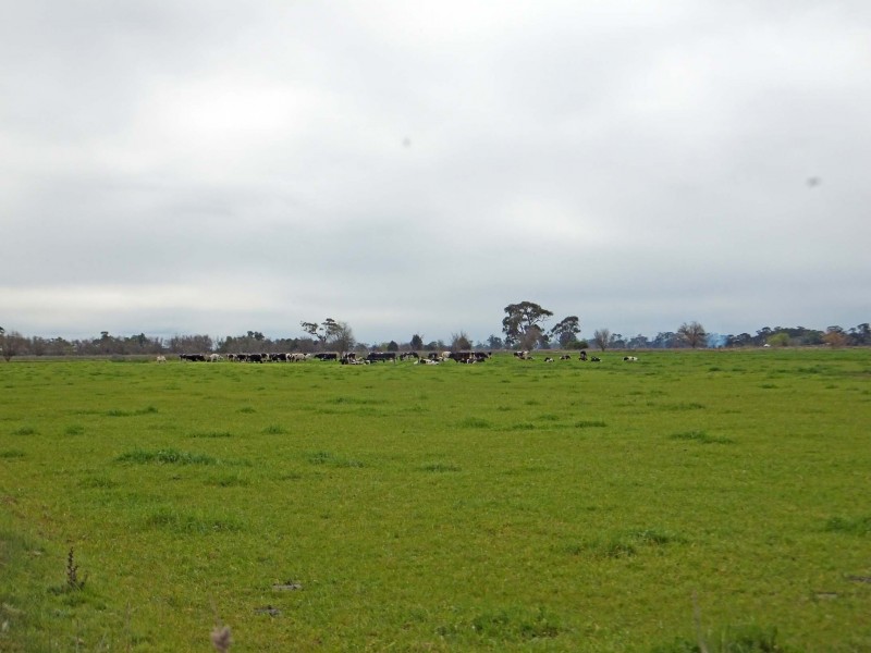 1510 Geodetic Road, Stanhope VIC 3623