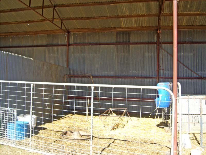 491 Murphy Road, Tongala VIC 3621
