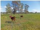 1468 Wilson Road, Tongala VIC 3621