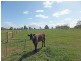 1468 Wilson Road, Tongala VIC 3621