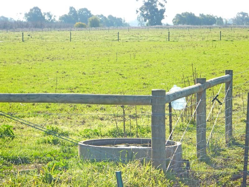 146A Graham Road, Lancaster VIC 3620