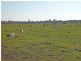 146A Graham Road, Lancaster VIC 3620