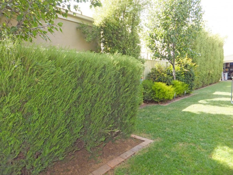 72 Goegan Drive, Kyabram VIC 3620