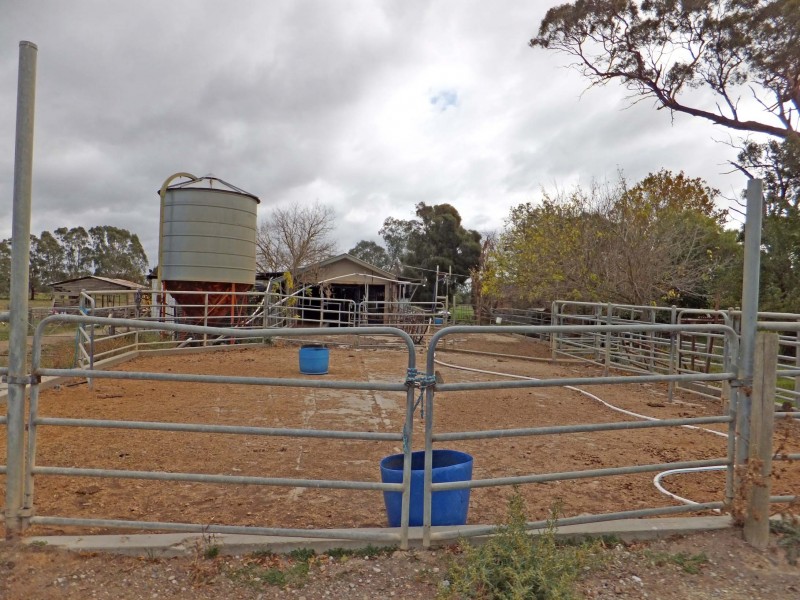 1476 Midland Highway, Stanhope VIC 3623