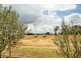 221 Balls Road, Nathalia VIC 3638