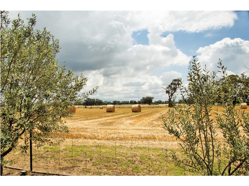 221 Balls Road, Nathalia VIC 3638