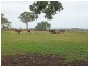 1012 Henderson Road, Tongala VIC 3621