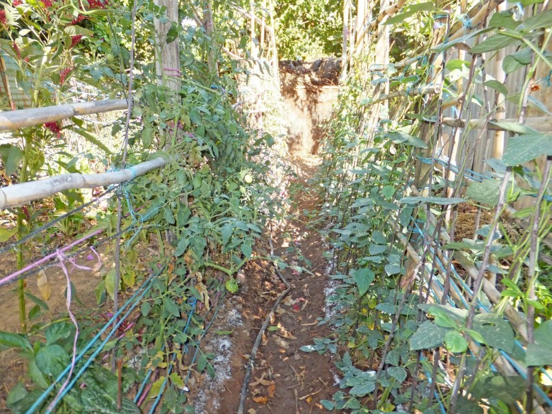 61 Waverley Avenue, Merrigum VIC 3618