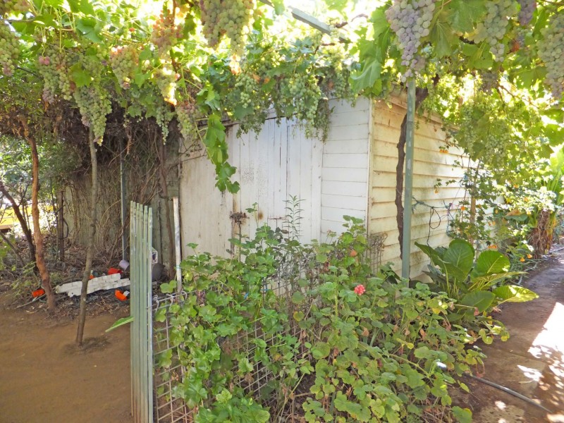 61 Waverley Avenue, Merrigum VIC 3618