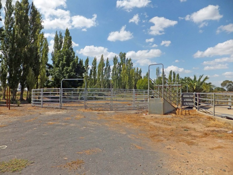 18 Robgill Lane, Stanhope South VIC 3623