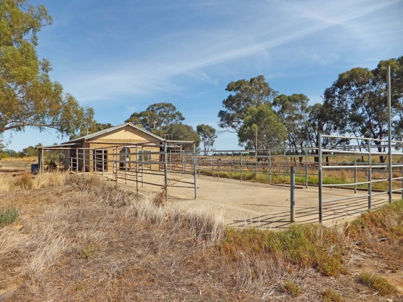 683 Matheson Road, Kyabram VIC 3620