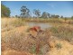 683 Matheson Road, Kyabram VIC 3620