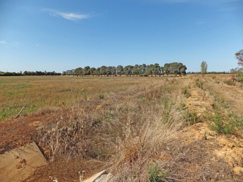 683 Matheson Road, Kyabram VIC 3620