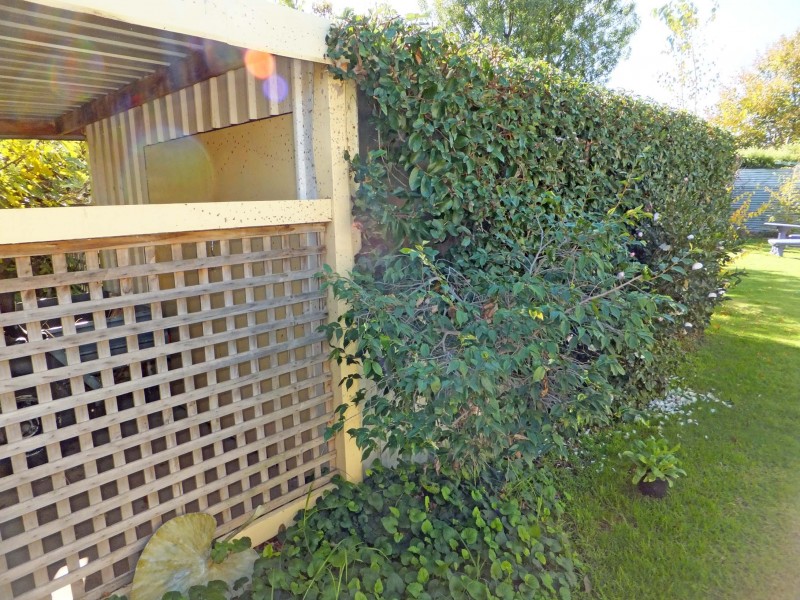 12 Wight Street, Kyabram VIC 3620