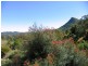 395 Gold Creek Road, Eerwah Vale QLD 4562