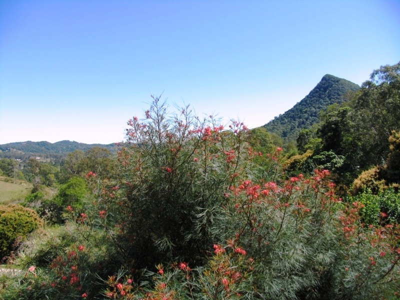395 Gold Creek Road, Eerwah Vale QLD 4562