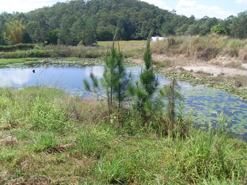 138 Wappa Walls Road, Yandina QLD 4561