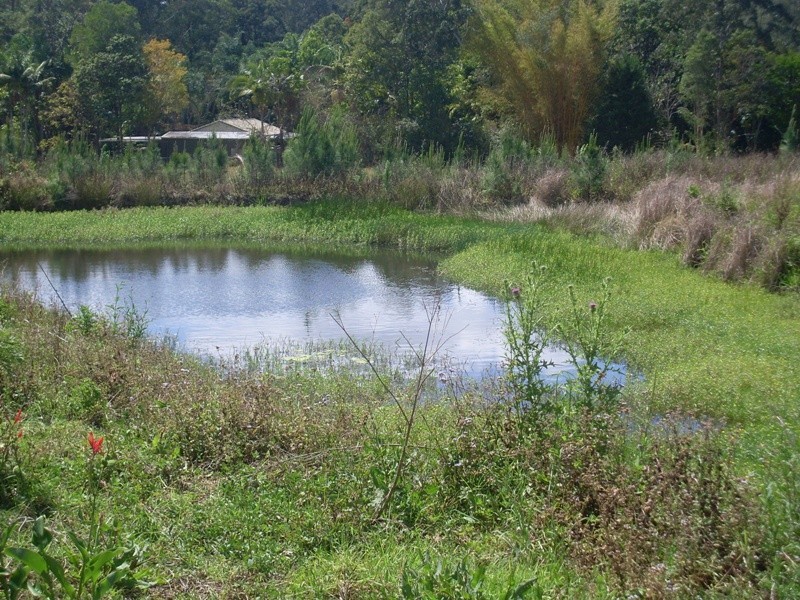 138 Wappa Walls Road, Yandina QLD 4561