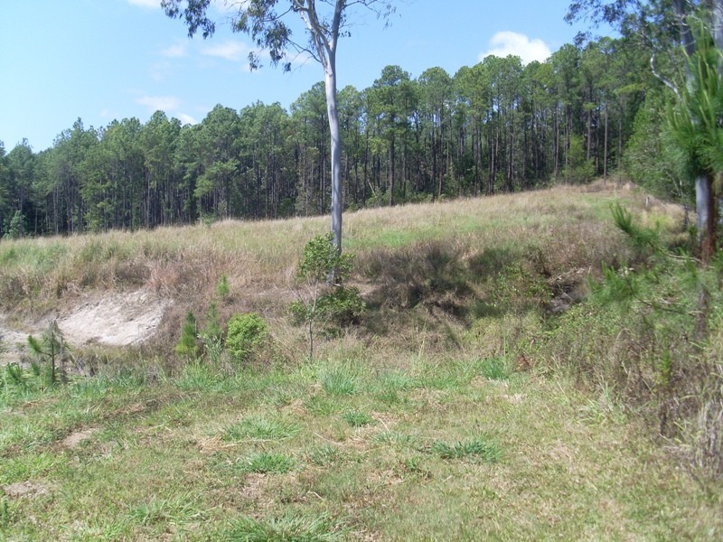 138 Wappa Walls Road, Yandina QLD 4561