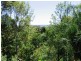 Maroochy River QLD 4561