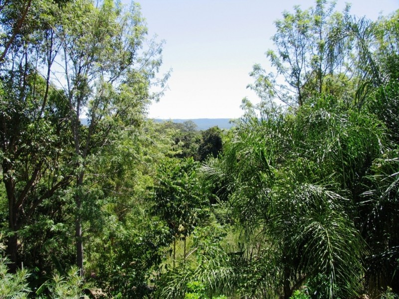 Maroochy River QLD 4561