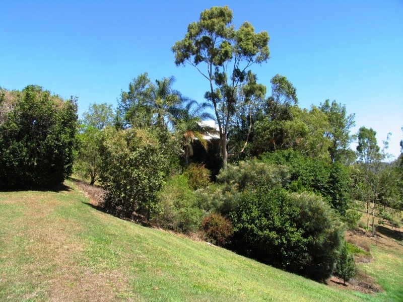 Maroochy River QLD 4561
