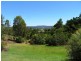 Maroochy River QLD 4561