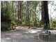 Yandina QLD 4561
