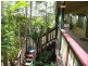 Yandina QLD 4561
