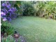 Yandina QLD 4561