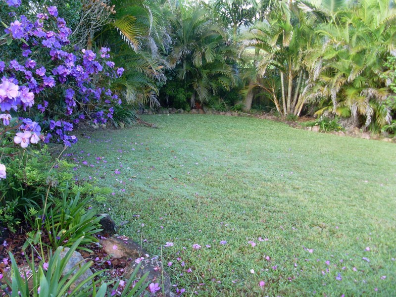 Yandina QLD 4561