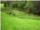 Yandina QLD 4561