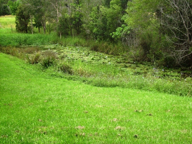 Yandina QLD 4561