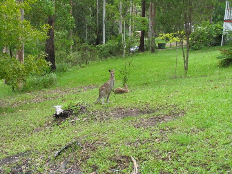 Ninderry QLD 4561