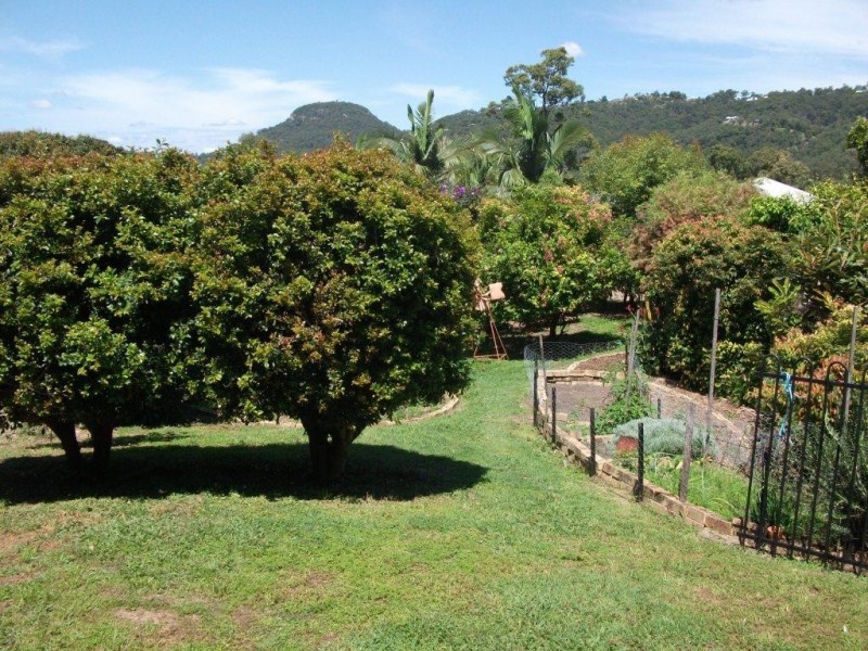 Yandina Creek QLD 4561