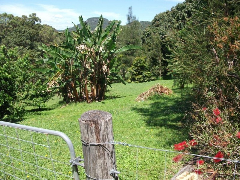 Yandina Creek QLD 4561